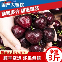 车厘子3J 2J精品进口新鲜大樱桃10斤礼盒装妇孕水果5参顺顺丰