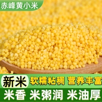 黄金苗赤峰黄小米新米5斤家用新鲜小米粥煮稀饭五谷杂粮包粽子米