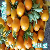 广西桂林夏橙当季9斤5斤大果现摘现发多汁手剥橙榨汁橙新鲜橙
