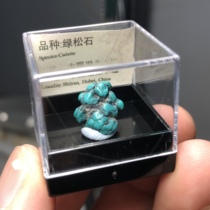 绿松石原石天然矿物晶体标本盒子猫矿石能量石晶宝石地质科普教学