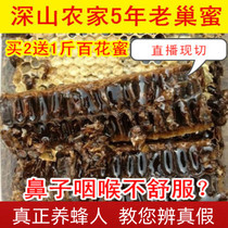 老巢蜜蜂巢蜜纯正天然农家野生蜂蜜蜂巢素嚼着吃的500g盒装蜂窝蜜