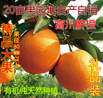 正宗富川脐橙有机种植橙子手剥橙脐橙