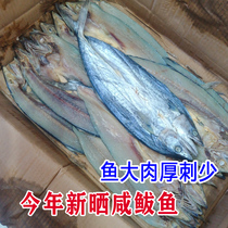 渔民新鲜自晒咸鲅鱼500g包邮咸马鲛鱼干风干海鲜干货海鱼干腌制