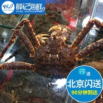 北京闪送 4-10斤规格 俄罗斯进口鲜活 帝王蟹 海鲜水产 大螃蟹