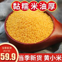 黄小米散装新米粥月子香黏稠甘肃会宁农家5斤小黄米食用五谷杂粮
