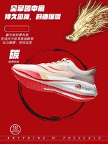 李宁赤兔7PRO龙年限定跑步鞋男女碳板飞电3C运动鞋赤兔6竞速超轻