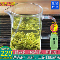特级日照绿茶2024年新春茶鲜香清香型炒青茶叶500g半斤起包邮散装