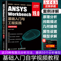 正版现货 ANSYS Workbench 19.0基础入门与工程实践 ANSYS Workbench 19.0有限元分析从入门到精通 ansys建模教程教材书籍