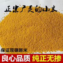 现碾山西黄小米粥养胃农家特产小黄米月子米脂小米广灵新小米5斤