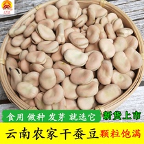 干蚕豆2023年新货农家生蚕豆种子5斤生的新鲜罗汉豆干货馋豆胡豆