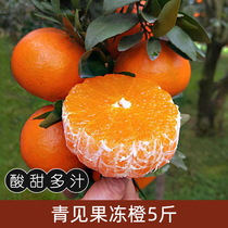 四川青见果冻橙新鲜孕妇水果当季果冻橙柑橘桔子酸甜中果5斤