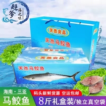 马鲛鱼新鲜海南深海大鱼冰鲜冷冻中段切片 8斤礼盒装送礼佳品特价