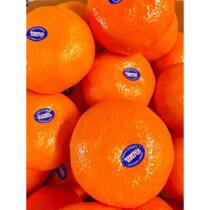 现货澳洲进口2PH澳橘澳大利亚橘子新鲜柑橘进口蜜桔新鲜水果包邮4