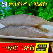 台山特产 广海咸鱼 半湿切片三牙鱼250g 渔家风味 一夜埕咸鱼