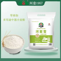 河套雪多用途小麦粉10kg中筋小麦粉20斤内蒙古面粉馒头包子通用