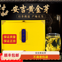 2024新茶黄金芽茶叶 明前安吉特级正宗白茶礼盒装 绿茶叶春茶