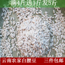 云南特产农家小白豆白芸豆白腰豆煲汤料 五谷杂粮500g/件 3件包邮