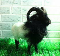 定做动物模型 仿真藏羊 山羊 绵羊宠物玩具 摄影教科道具器材