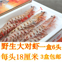 包邮野生海鲜海捕新鲜斑节虾九节虾大明虾对虾大海虾6只一盒